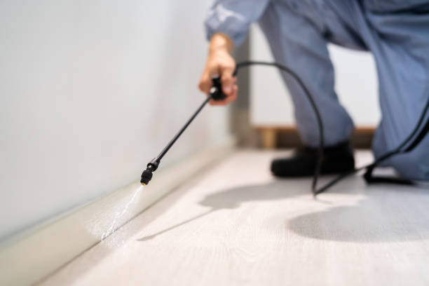 Licensed Cockroach Control service in Knoxville, TN - Nex Pest Control