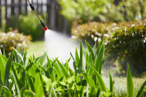 24/7 Emergency Cockroach Control experts in Knoxville, TN