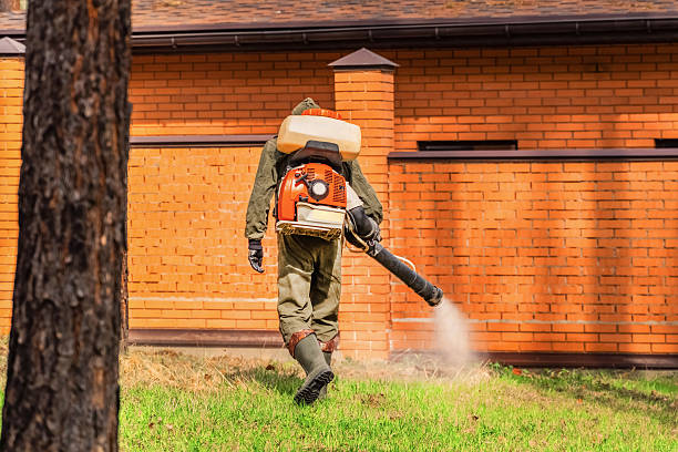 Trusted Bed Bug Control service in Knoxville, TN - Nex Pest Control